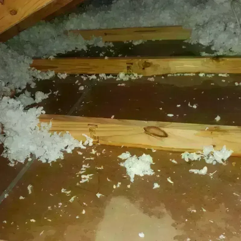 Attic Water Damage in Bayard, NE